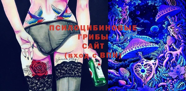 мдпв Надым