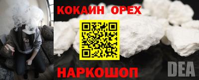стаф Гусев