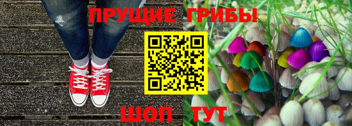 Галлюциногенные грибы прущие грибы  Каменка 