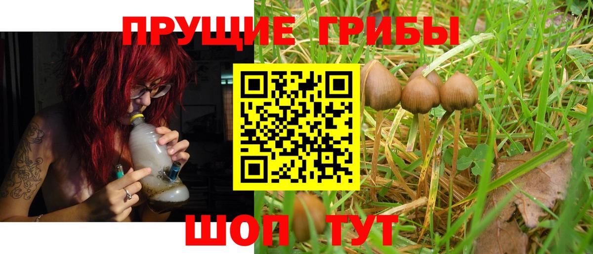 Псилоцибиновые грибы Magic Shrooms  Псилоцибиновые грибы MAGIC MUSHROOMS  Каменка  Вход с VPN 
